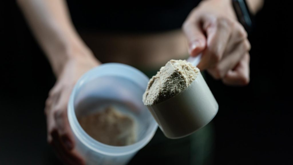 Bitkisel Protein Tozu Nedir?